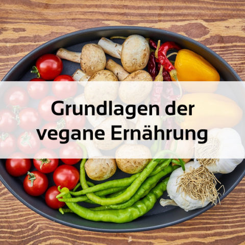 Vegane Ernährung Onlinekurs kostenlos
